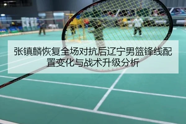 张镇麟恢复全场对抗后辽宁男篮锋线配置变化与战术升级分析