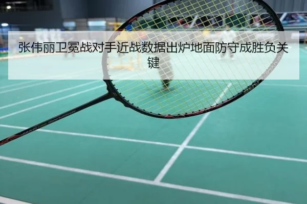 张伟丽卫冕战对手近战数据出炉地面防守成胜负关键